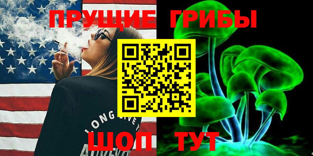Псилоцибиновые грибы Cubensis Иркутск