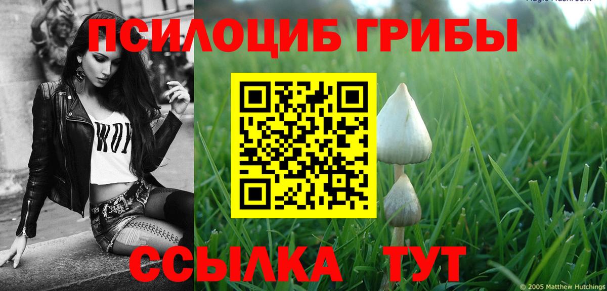 Псилоцибиновые грибы ЛСД  Вход с VPN  Иркутск 