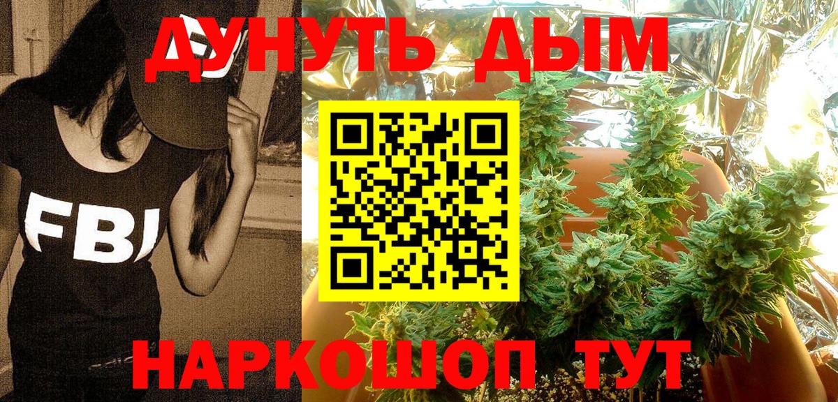 Иркутск  Бошки Шишки SATIVA & INDICA  Бошки Шишки план  Каннабис White Widow  Вход с VPN 